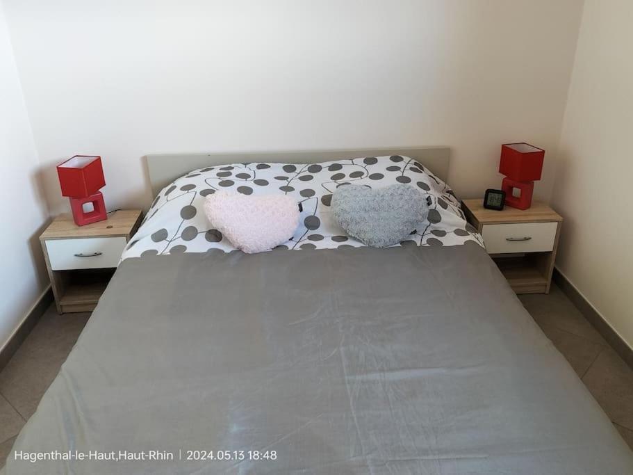 Apartment Einliegerwohnung Hagenthal-le-Haut Bagian luar foto